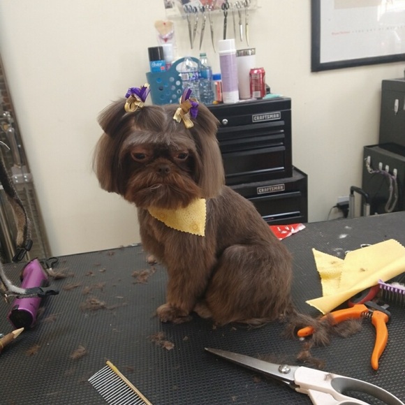 Meet your Posher, Mrs. ND Gunner - Picture 10 of 14